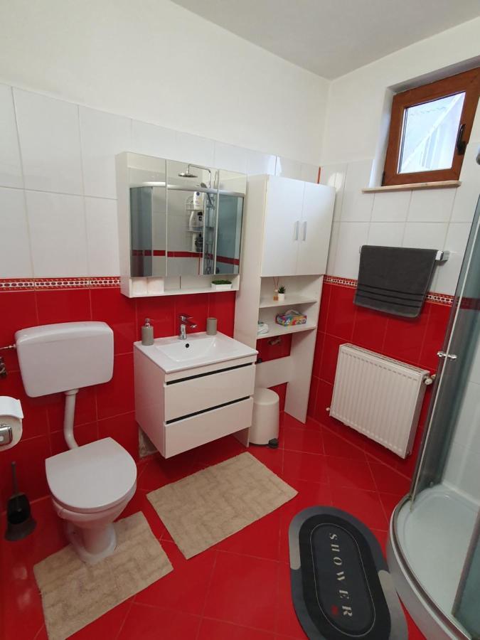 Apartament La Casa In Curte Comuna Apartment Codlea Luaran gambar
