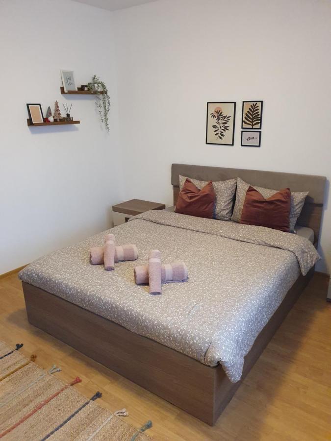 Apartament La Casa In Curte Comuna Apartment Codlea Luaran gambar
